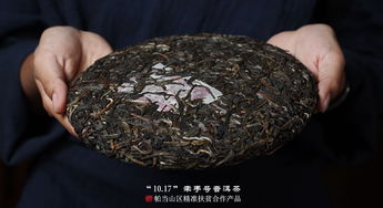 2019年福元昌牽手號(hào)扶貧茶帕當(dāng)山區(qū)生茶357克價(jià)格與購買指南