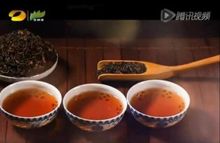 潤元昌柑普茶 湖南廣電茶頻道傾情推薦，品味地道茶香